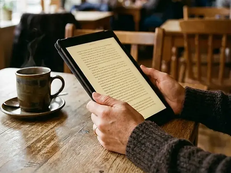 IE na Prática — Livro Digital